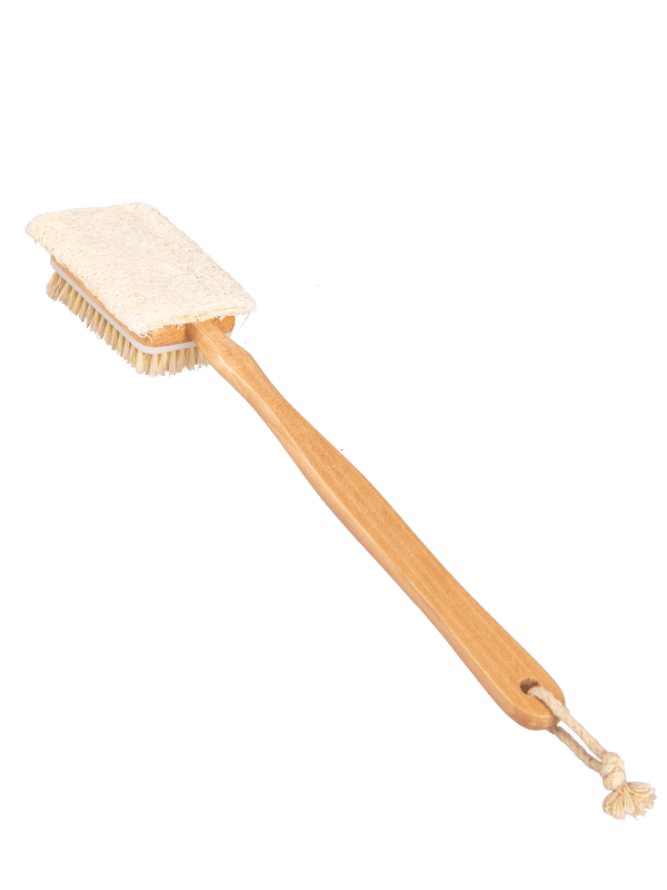 1-1Z42Q05623495-1.png
